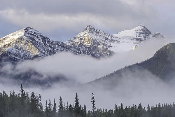 Early morning mist hangs in the wooded valleys below the snow capped mountains of