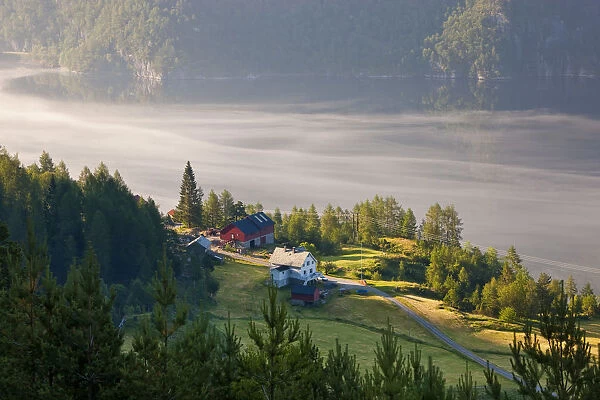 Early morning mist, Masfjorden, Hordaland, Norway