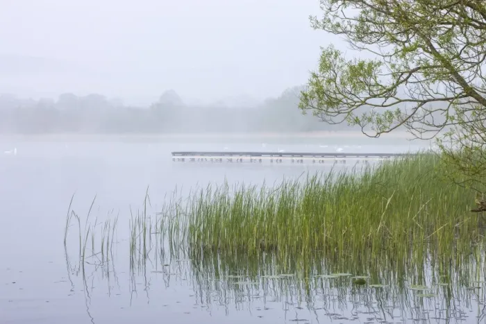 Framed Print : Early morning mist shrouds Llangorse Lake in the Brecon Beacons National Park, Powys, Wales