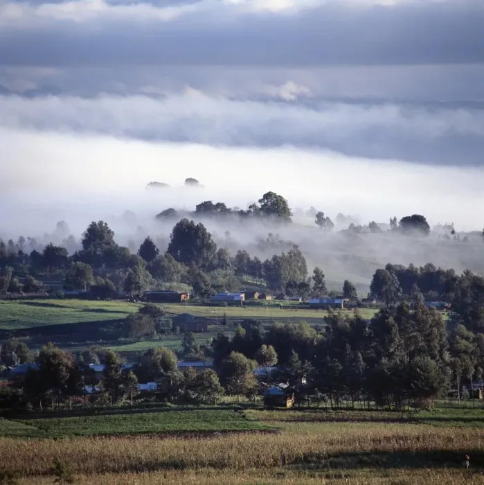 Framed Print : Early morning mist in Tanzanias Southern Highlands
