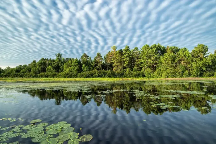 Framed Print : Early morning reflections on Lake Travers in Algonquin Provincial Park, Ontario, Canada Framed Print : Early morning reflections on Lake Travers in Algonquin Provincial Park, Ontario, Canada
