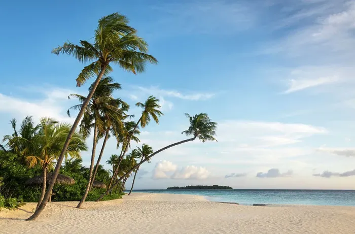 Framed Print : Early morning on a tropical beach, Baa Atoll, Maldives Framed Print : Early morning on a tropical beach, Baa Atoll, Maldives