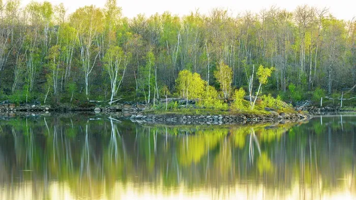 Framed Print : Early spring reflections in Mud Lake, Greater Sudbury, Ontario, Canada