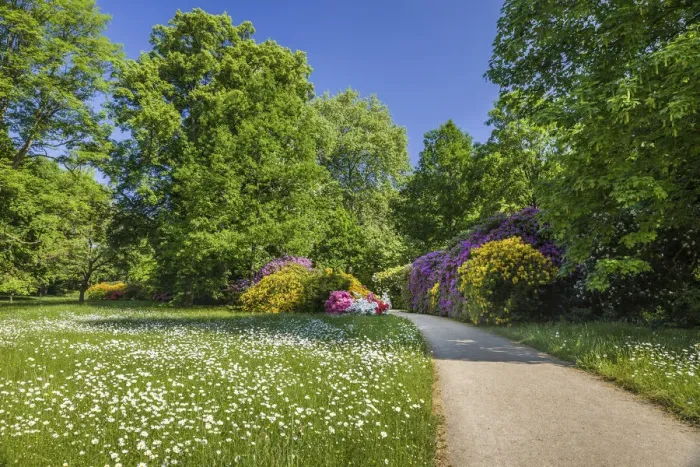 Framed Print : Early summer in the spa gardens of Bad Homburg vor der Hohe, Taunus, Hesse