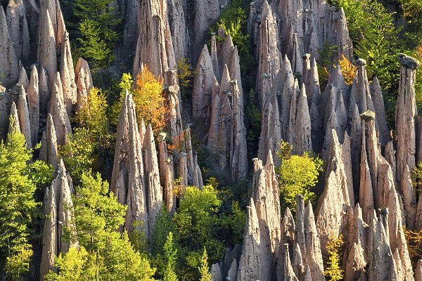 Earth Pyramids in Autumn, South Tyrol, Dolomites, Italy
