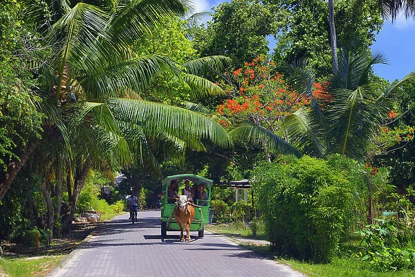 East Africa, Indian Ocean, Seychelles, La Digue Island, traditonell tourists Oxcart