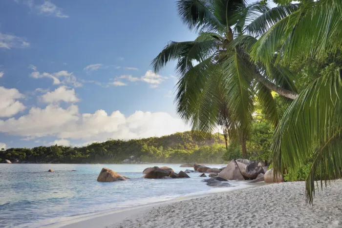 Framed Print : East Africa, Indian Ocean, Seychelles, Praslin Island, Anse Lazio, tropical palm beach