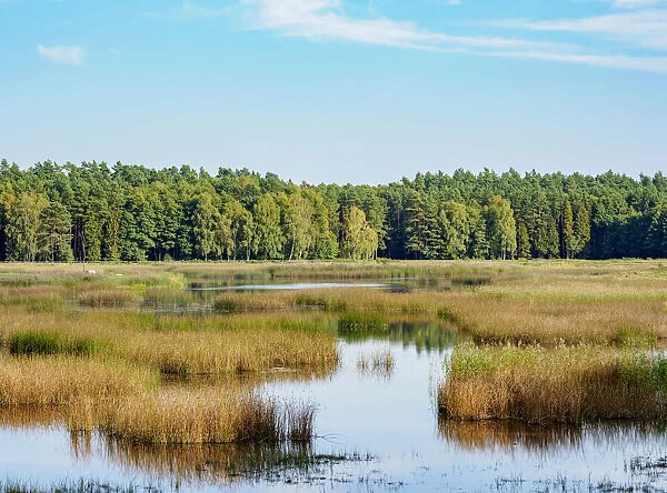 Echo Lake in Zwierzyniec, Roztocze, Lublin Voivodeship, Poland