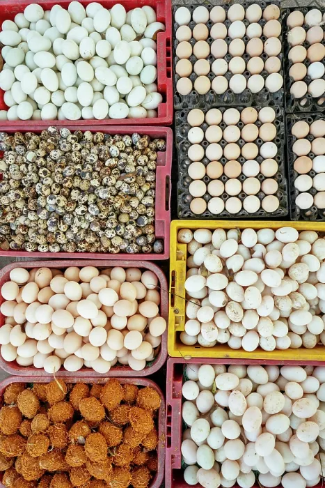 Framed Print : Eggs on display in market, Hue, Thua Thien Hue, Vietnam Framed Print : Eggs on display in market, Hue, Thua Thien Hue, Vietnam