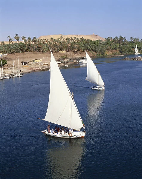 Egypt, Aswan, Feluccas on the Nile
