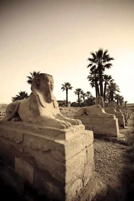Framed Print : Egypt, Luxor, Luxor Temple, Avenue of Sphinxes