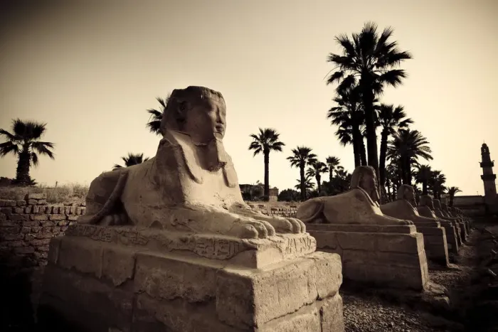 Framed Print : Egypt, Luxor, Luxor Temple, Avenue of Sphinxes Framed Print : Egypt, Luxor, Luxor Temple, Avenue of Sphinxes