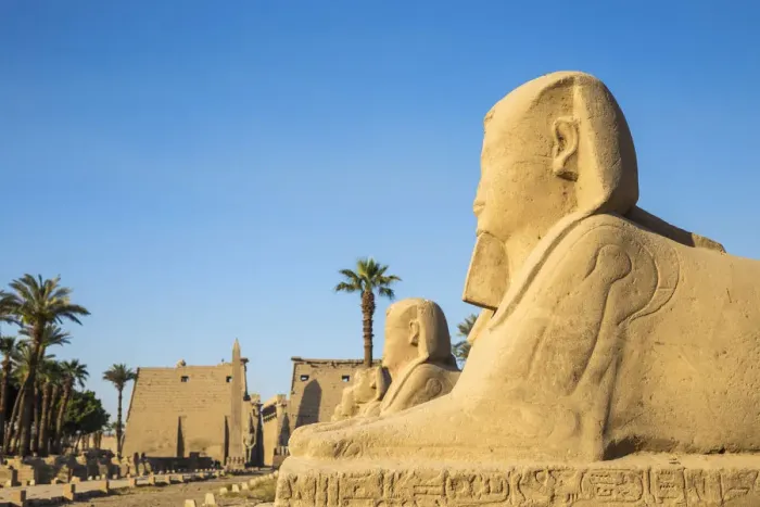 Framed Print : Egypt, Luxor, Luxor Temple, Avenue of Spinxes and the entrance to the temple known Framed Print : Egypt, Luxor, Luxor Temple, Avenue of Spinxes and the entrance to the temple known