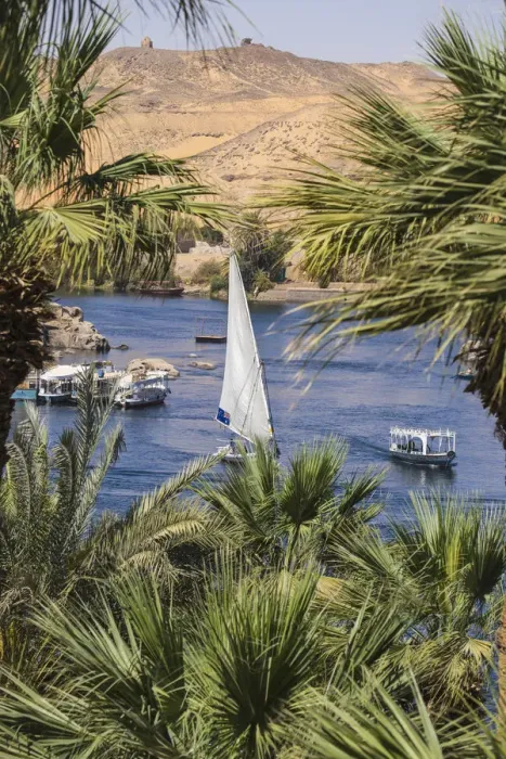 Framed Print : Egypt, Upper Egypt, Aswan, Gardens of Old Cataract Hotel Framed Print : Egypt, Upper Egypt, Aswan, Gardens of Old Cataract Hotel