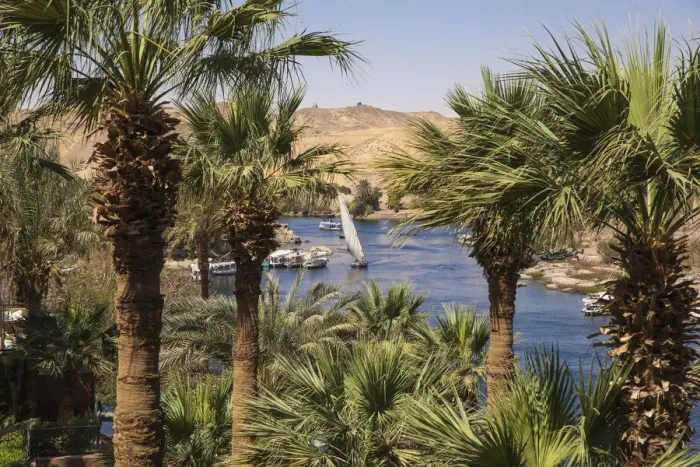 Framed Print : Egypt, Upper Egypt, Aswan, Gardens at the Sofitel Legend Old Cataract hotel situated