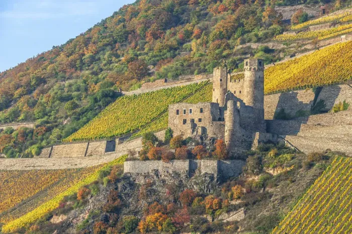 Framed Print : Ehrenfels castle, Rhine valley, UNESCO World Heritage site, Hesse, Germany Framed Print : Ehrenfels castle, Rhine valley, UNESCO World Heritage site, Hesse, Germany