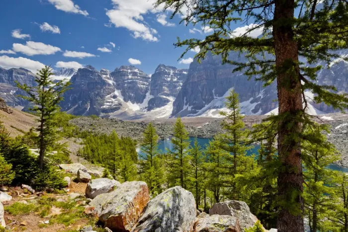 Framed Print : Eiffel Lake & Valley of the Ten Peaks, Banff National Park, Alberta, Canada
