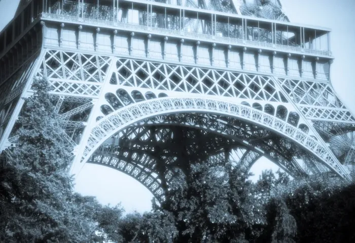Framed Print : Eiffel Tower Framed Print : Eiffel Tower