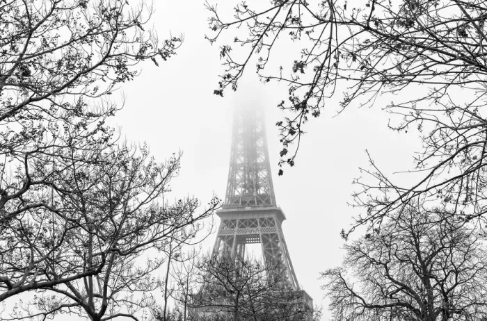 Framed Print : The Eiffel Tower in fog, Paris, France