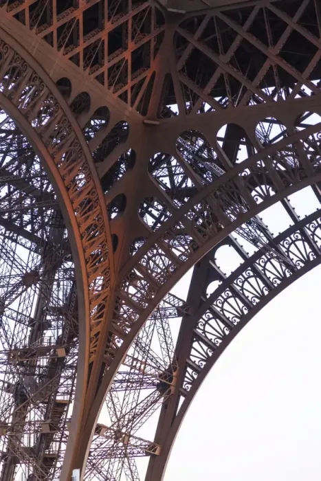 Framed Print : Eiffel Tower, Paris, France Framed Print : Eiffel Tower, Paris, France