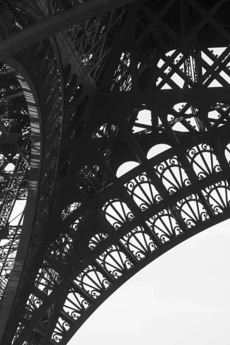 Framed Print : Eiffel Tower, Paris, France Framed Print : Eiffel Tower, Paris, France
