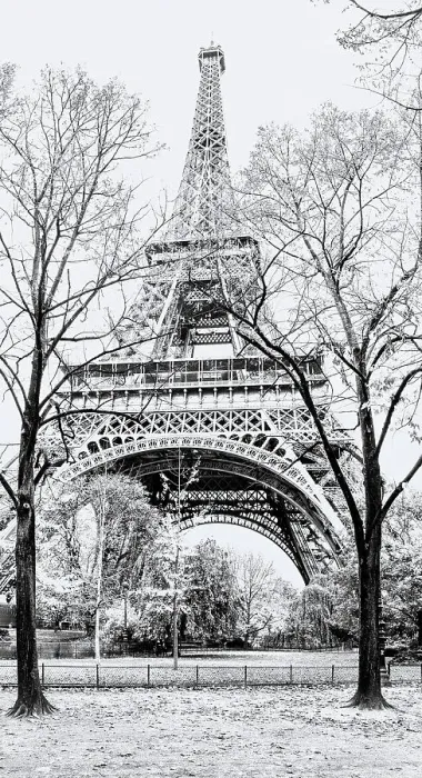 Framed Print : Eiffel Tower. Paris, France Framed Print : Eiffel Tower. Paris, France