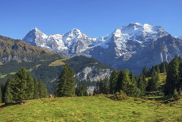 Eiger, Maonch and Jungfrau from Winteregg, MAorren, Berner Oberland, Switzerland
