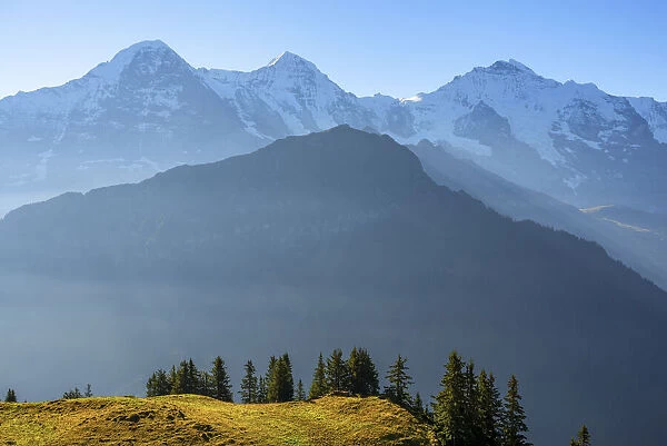 Eiger, Monch and Jungfrau seen from Schynige Platte, Berner Oberland, Grindelwald, Bernese Alps, Bern, Switzerland