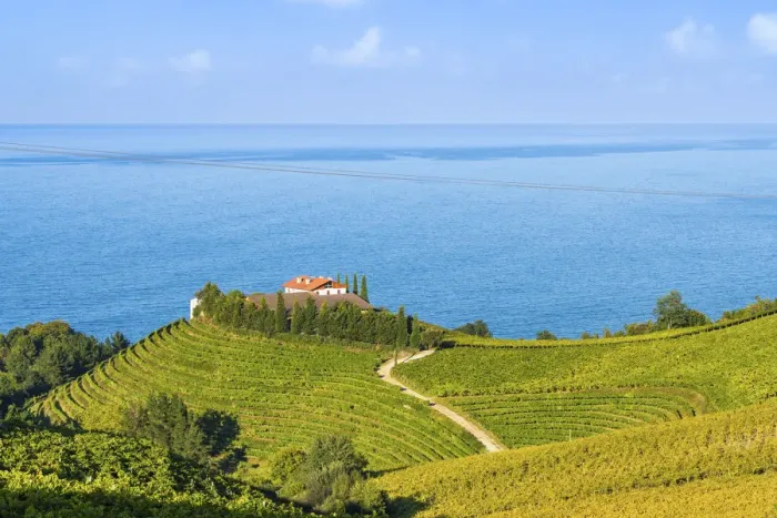 Framed Print : Eitzaga, Guipuzcoa, Basque Country, Spain. Hills of vineyards near the sea Framed Print : Eitzaga, Guipuzcoa, Basque Country, Spain. Hills of vineyards near the sea