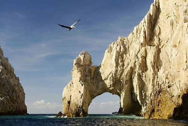El Arco at Lands end, Cabo San Lucas, Baja California Sur, Baja California, Mexico