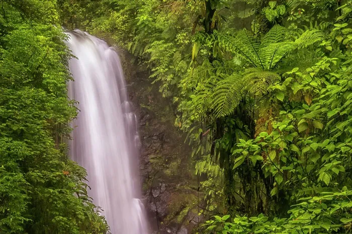Framed Print : El Templo Waterfall on the La Paz River, Costa Rica Framed Print : El Templo Waterfall on the La Paz River, Costa Rica
