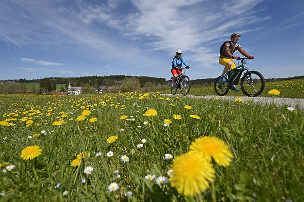 Electric cyclists at Ischl, Chiemgau, Upper Bavaria, Bavaria, Germany, Europe, MR