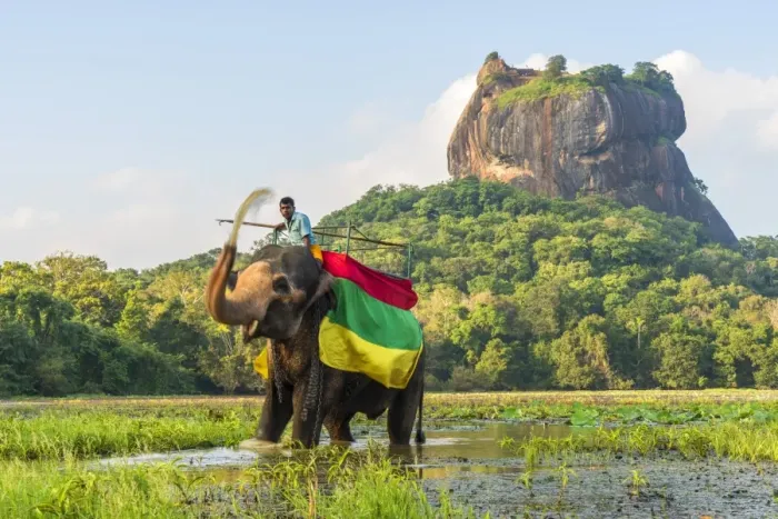 Framed Print : Elephant ride with Lion Rock, Ancient Rock Fortress behind, Sigiriya, Sri Lanka