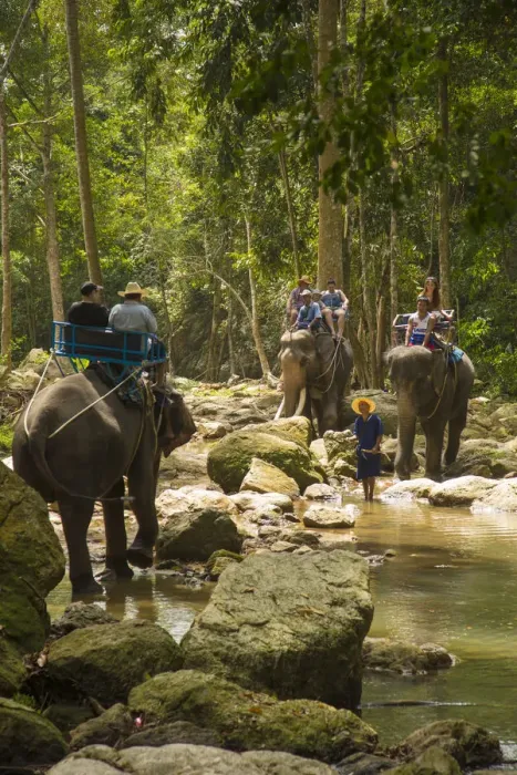 Framed Print : Elephant ride, Na Mueang Waterfall, Koh Samui, Thailand