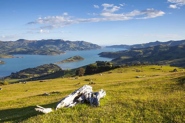 Elevated view over Banks Peninsular, Canterbury, South Island, New Zealand