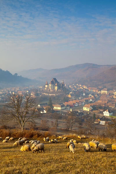 Elevated view over Biertan at sunrise, Biertan, nr. Sighisoara, Transylvania, Romania