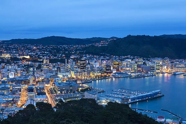 Elevated view over central Wellington illuminated at dusk, Wellington, North Island