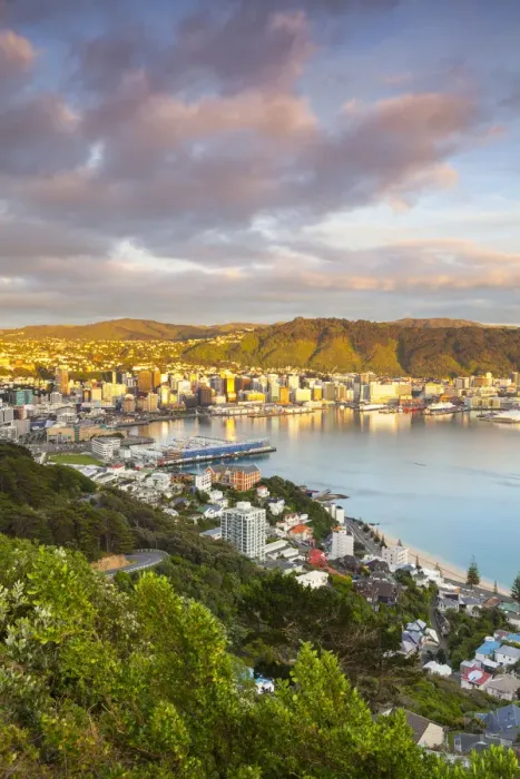 Framed Print : Elevated view over central Wellington illuminated at sunrise, Wellington, North Island Framed Print : Elevated view over central Wellington illuminated at sunrise, Wellington, North Island