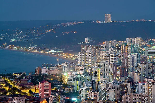 Elevated view of high-rise buildings of Vina del Mar at twilight, Valparaiso Province, Valparaiso Region, Chile