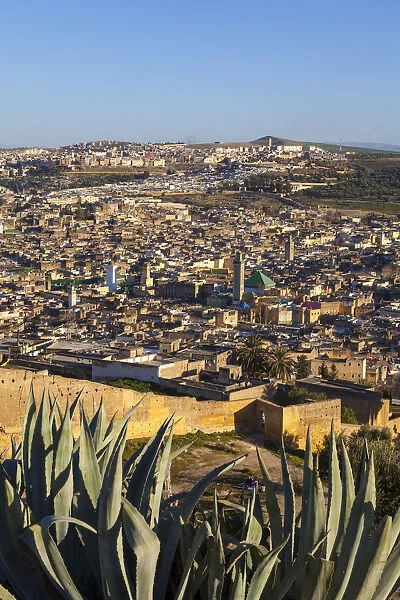 Elevated view across the Old Medina of Fes, Fes, Morocco