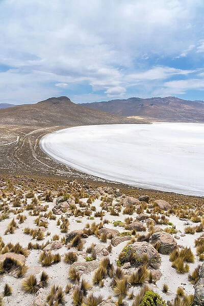 Elevated view of salt lake, Salinas y Aguada Blanca National Reserve, Arequipa Province, Arequipa Region, Peru
