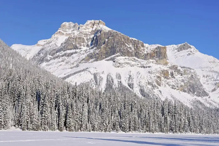 Framed Print : Emerald Lake. The Canadian Rocky Mountains, Yoho National Park, British Columbia, Canada Framed Print : Emerald Lake. The Canadian Rocky Mountains, Yoho National Park, British Columbia, Canada