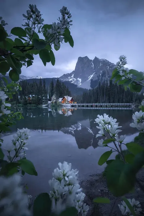 Framed Print : Emerald Lake, Yoho National Park, British Columbia, Canada Framed Print : Emerald Lake, Yoho National Park, British Columbia, Canada