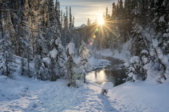 Framed Print : Emerald River in Winter, Yoho National Park, British Columbia, Canada Framed Print : Emerald River in Winter, Yoho National Park, British Columbia, Canada