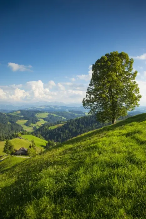 Framed Print : Emmental Valley, Berner Oberland, Switzerland