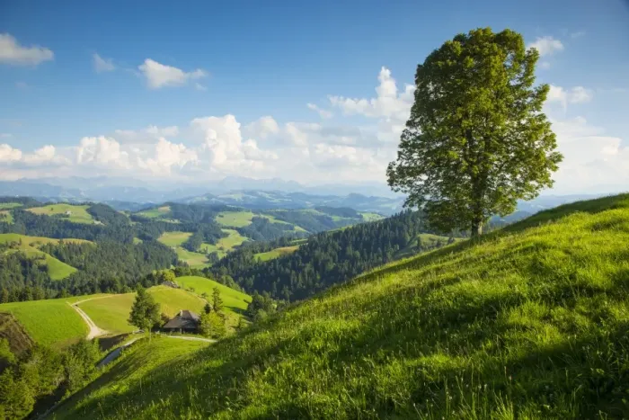 Framed Print : Emmental Valley, Berner Oberland, Switzerland