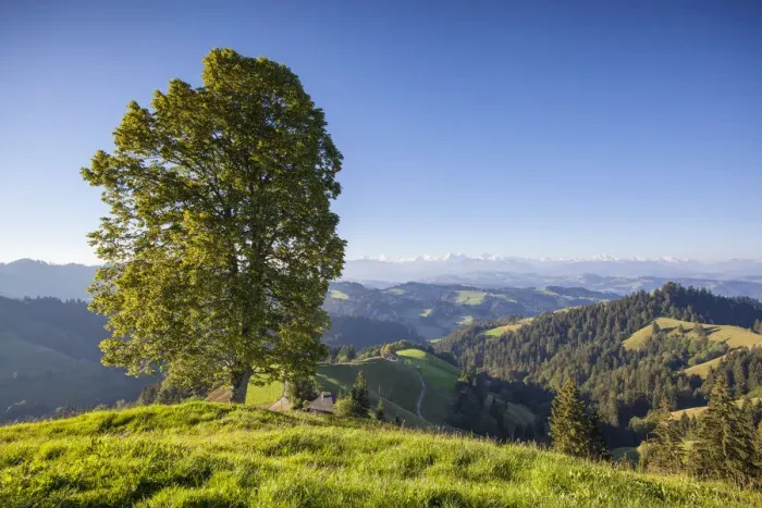 Framed Print : Emmental Valley, Berner Oberland, Switzerland Framed Print : Emmental Valley, Berner Oberland, Switzerland