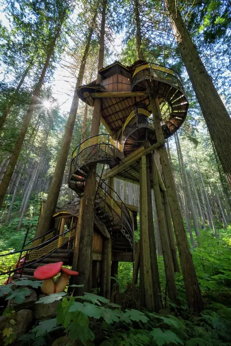 Framed Print : The Enchanted Forest, Revelstoke, British Columbia, Canada Framed Print : The Enchanted Forest, Revelstoke, British Columbia, Canada
