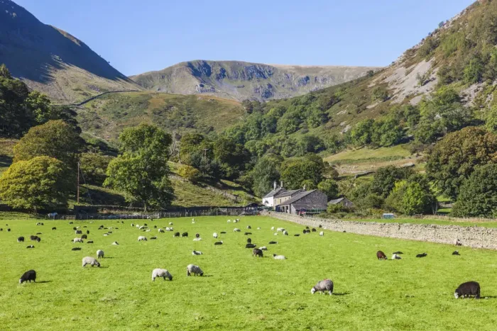 Framed Print : England, Cumbria, Lake District, Ullswater, Farm at Glenridding Framed Print : England, Cumbria, Lake District, Ullswater, Farm at Glenridding