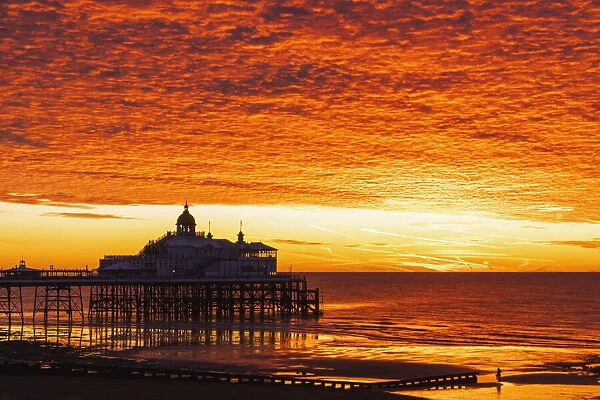 England, East Sussex, Eastbourne, Eastbourne Beach and Pier with English Channel at Dawn